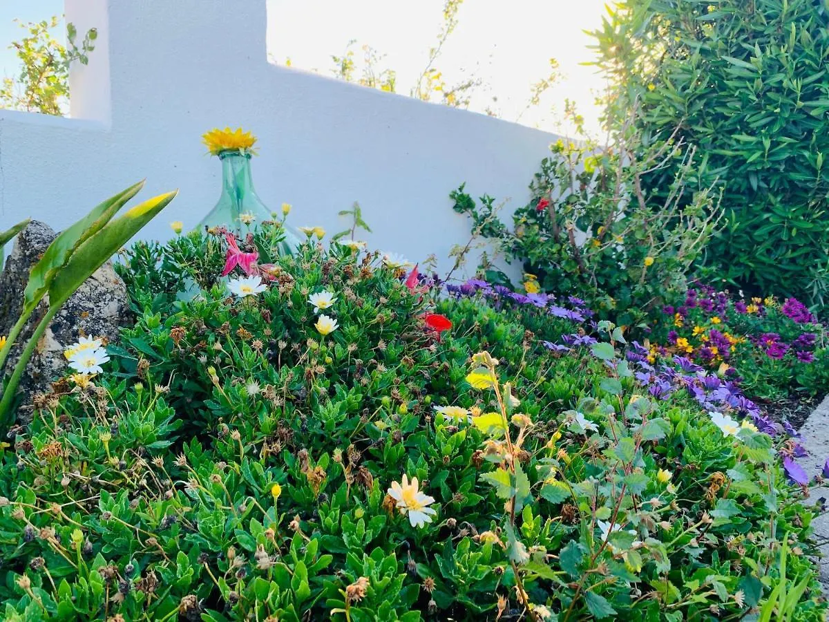 Villa Sogno Sulcitano Masainas Italia