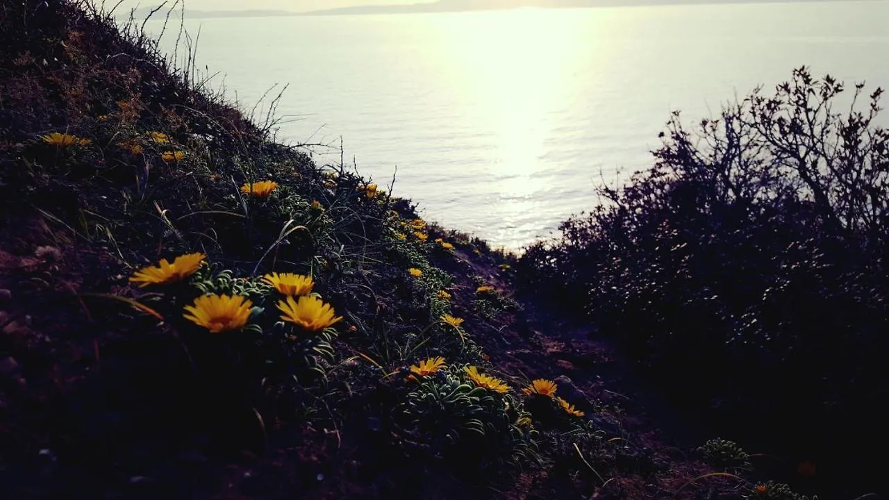 Alloggio per agriturismo Villa Sogno Sulcitano Masainas Italia