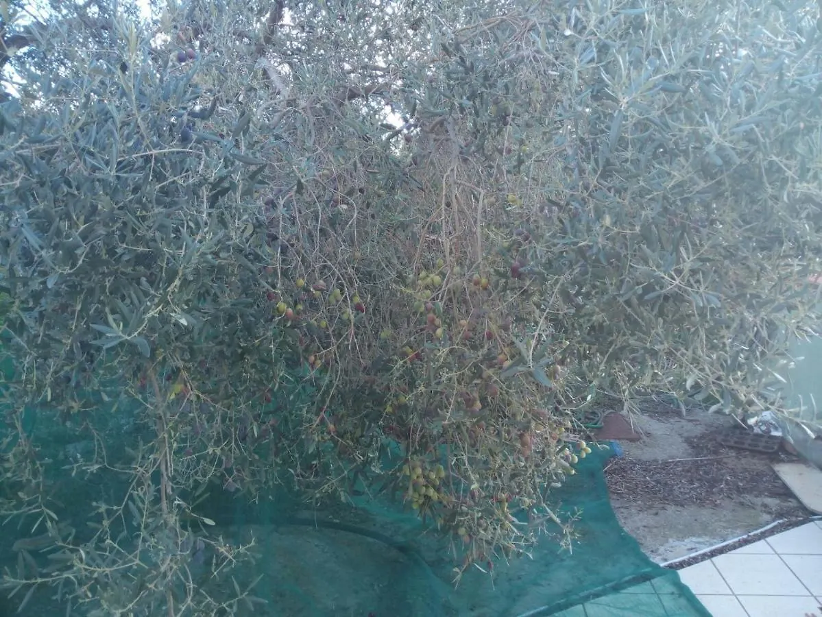 Villa Sogno Sulcitano Masainas